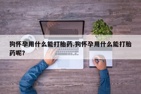 网上米非司酮片米索前列醇在线下单购买狗怀孕用什么能打胎药.狗怀孕用什么能打胎药呢？