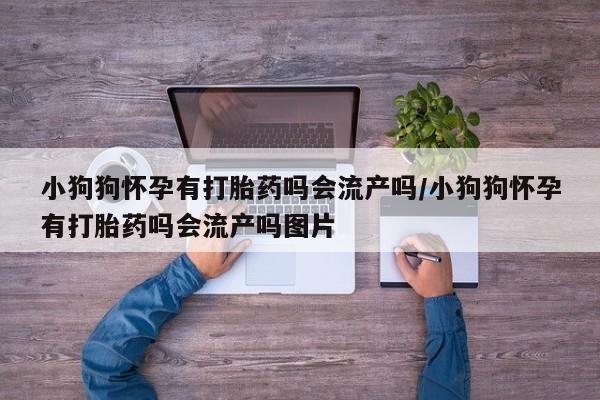 网上米非司酮片米索前列醇在线下单购买小狗狗怀孕有打胎药吗会流产吗/小狗狗怀孕有打胎药吗会流产吗图片