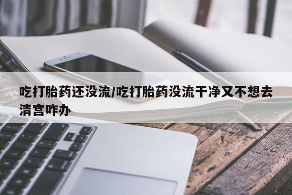 网上米非司酮片米索前列醇在线下单购买吃打胎药还没流/吃打胎药没流干净又不想去清宫咋办