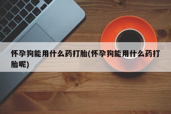 网上米非司酮片米索前列醇在线下单购买怀孕狗能用什么药打胎(怀孕狗能用什么药打胎呢)