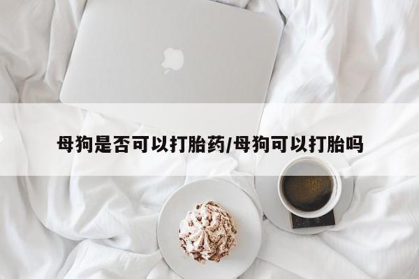 网上米非司酮片米索前列醇在线下单购买母狗是否可以打胎药/母狗可以打胎吗