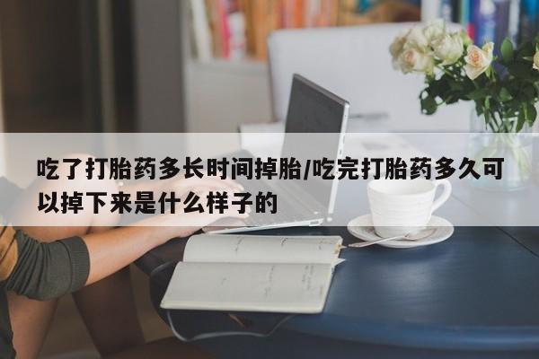 网上米非司酮片米索前列醇在线下单购买吃了打胎药多长时间掉胎/吃完打胎药多久可以掉下来是什么样子的